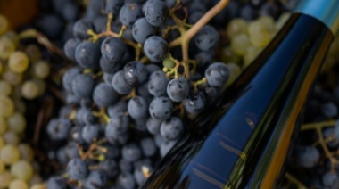 Funckenhausen lanza una innovadora línea de vinos cofermentados