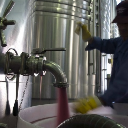 La vitivinicultura genera 36 veces más puestos de trabajo que la soja