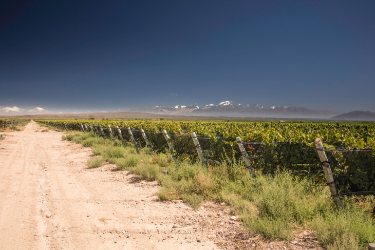 La colocación de malla antigranizo creció 30% en Argentina según los registros de Agrinet