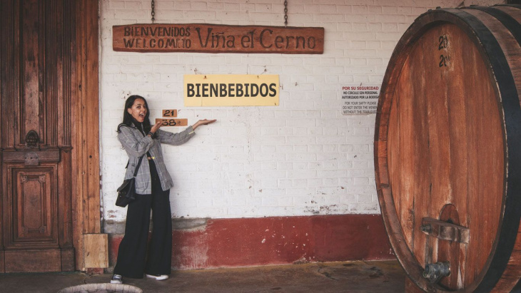 Gran oportunidad para conocer las bodegas de Mendoza a traves del programa Bodegas Abiertas
