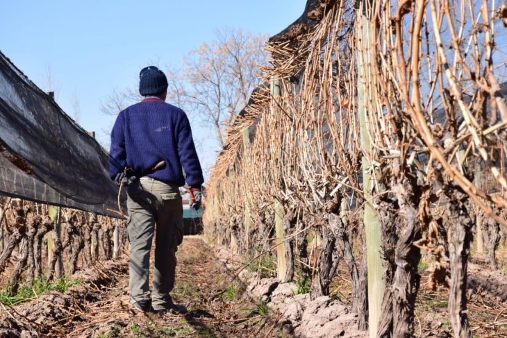 Los trabajadores de FOEVA se oponen a la desregulación del INV