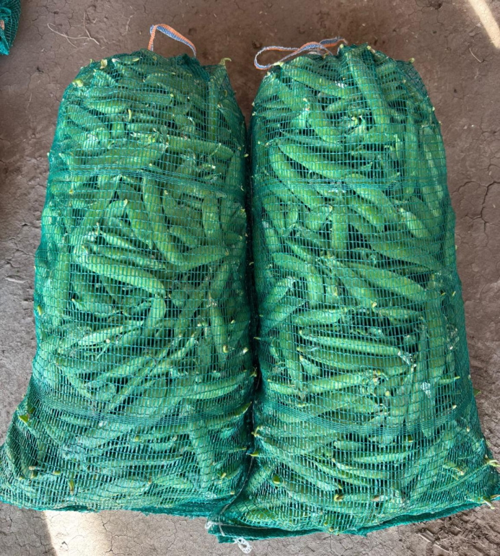 Los nuevos tejidos permiten bolsas más sostenibles ambientalmente