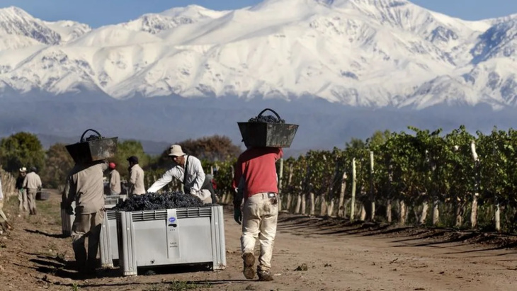 Los viñateros mendocinos atacados insólitamente por Sturzenegger