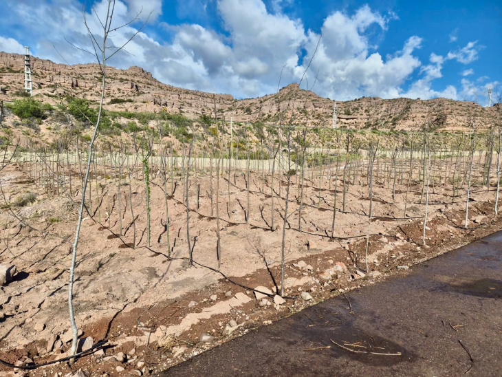 La ejecución de estacionamientos y accesos busca ordenar el flujo vehicular y proteger el entorno natural