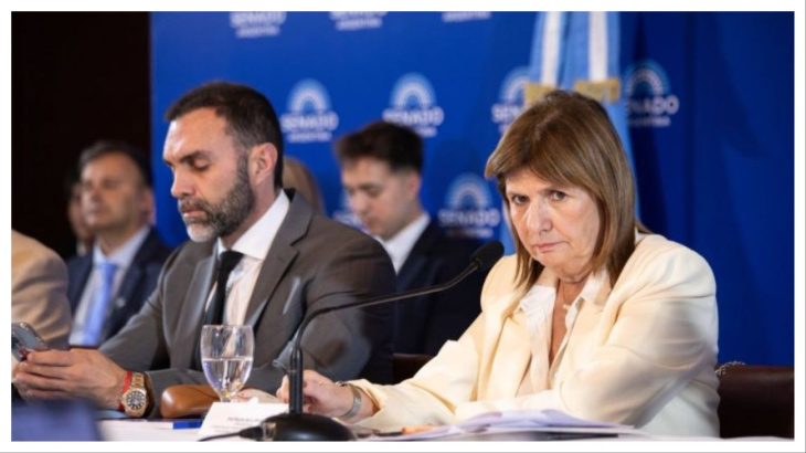 Patricia Bullrich no pudo garantizar los votos y el tratamiento se posterga para febrero