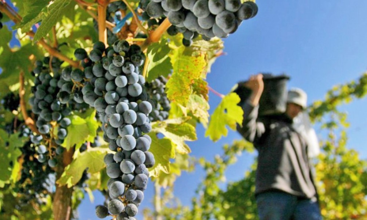 Los productores lograron mantener el CIU para está cosecha con una orden judicial