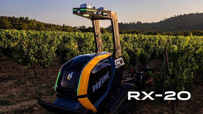 En la vitivinicultura y la fruticultura la producción sustentable ahora forma parte del negocio.