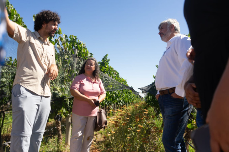 Fairtrade impulsa un modelo vitivinícola con impacto ambiental y social.