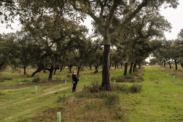 Procesos industriales con foco en trazabilidad y calidad.