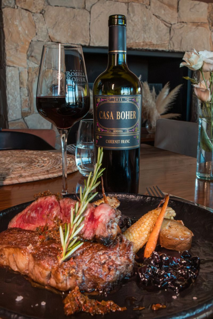 La propuesta incluye cosecha participativa en viñedos de Alto Agrelo.