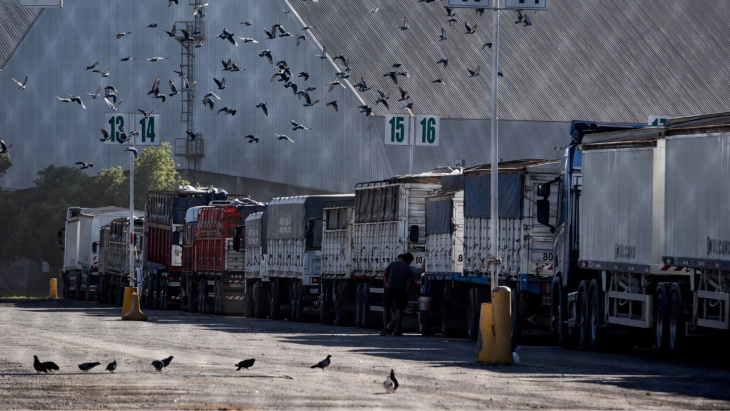 Los costos de fletes entre los factores que mas perjudican la competitividad del agro local