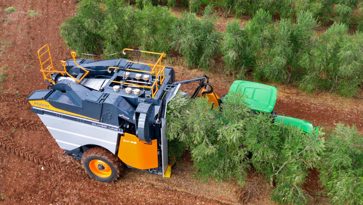 Las cosechadores de olivares ya están en Mendoza de la mano de Agrocosecha