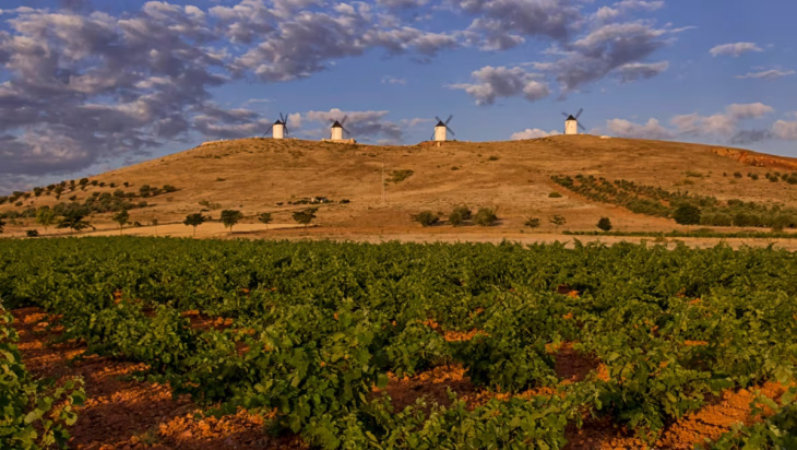 Cooperativa Manjavacas, en Castilla La mancha sede del encuentro de este año
