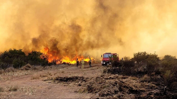 Uno de los puntos conflictivos es la liberalización del destino de las tierras incendiadas