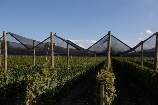 La malla antigranizo entra en las inversiones beneficiadas