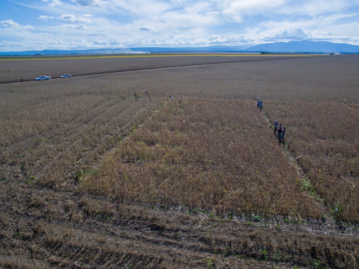 La biología del suelo aparece como una nueva frontera de innovación agrícola.