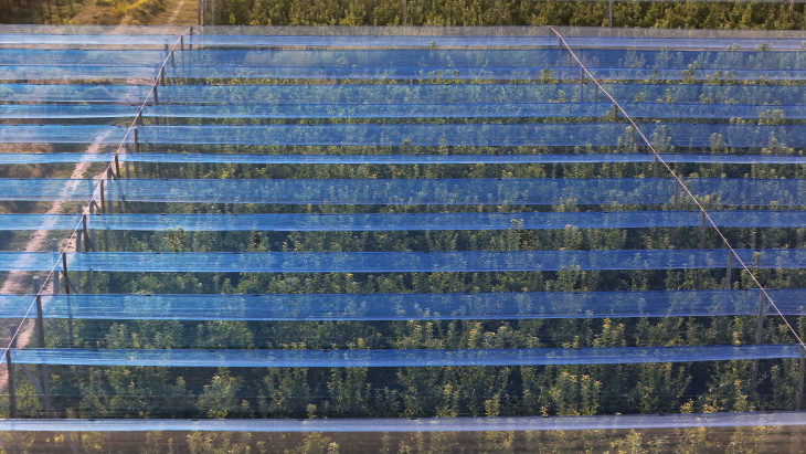 Mallas fotoselectivas de Agrinet: innovación sustentable que impulsa la ...