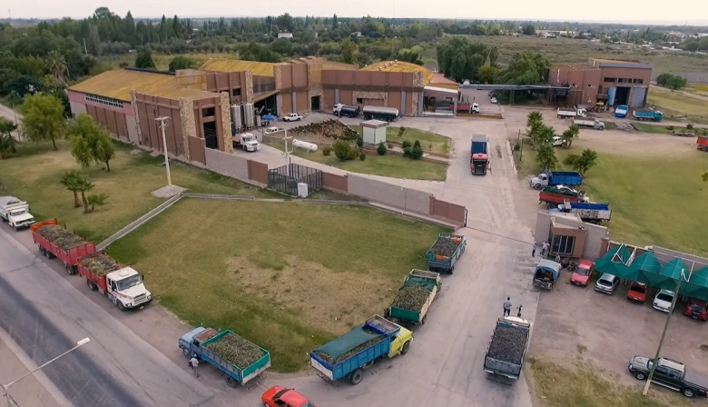 Fallo definitivo: Iberte gana el juicio a Marcelo Bocardo por incumplimiento contractual