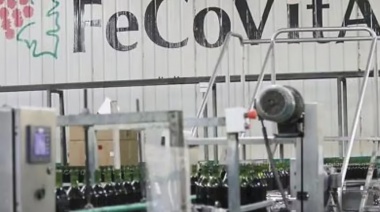 Fecovita - Iberte: Un nuevo capítulo por el balance 2024