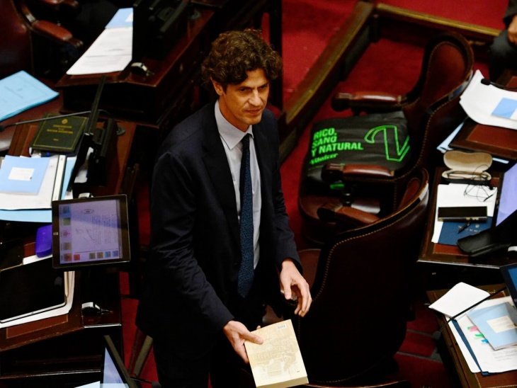 Martín Losteau, presidente de la Unión Civica Radical