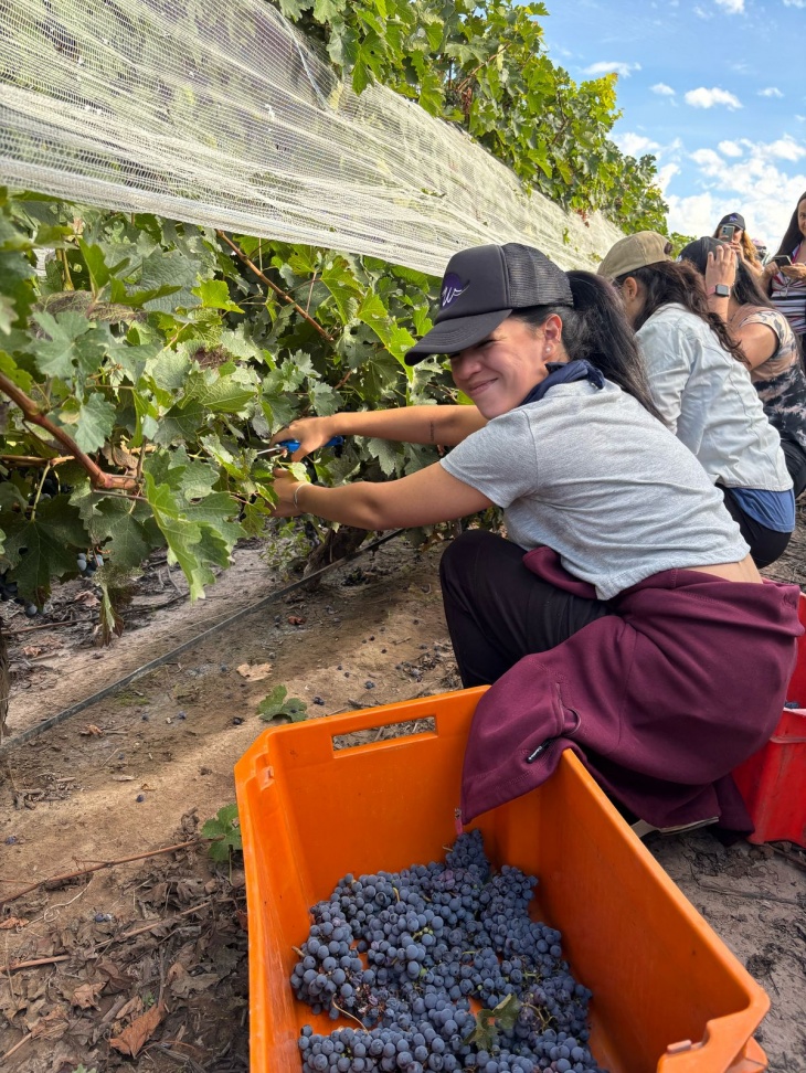 Los alumnos en plena cosecha