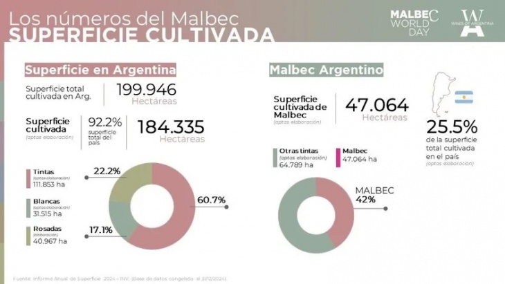 El malbec la principal cepa cultivada en la Argentina
