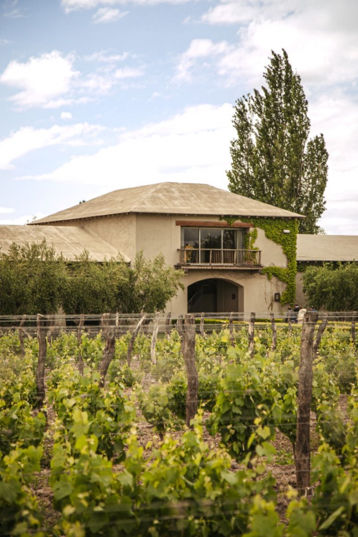 Bodega Vistalba, precursora de la IG de la localidad y de la DOC Lujan de Cuyo