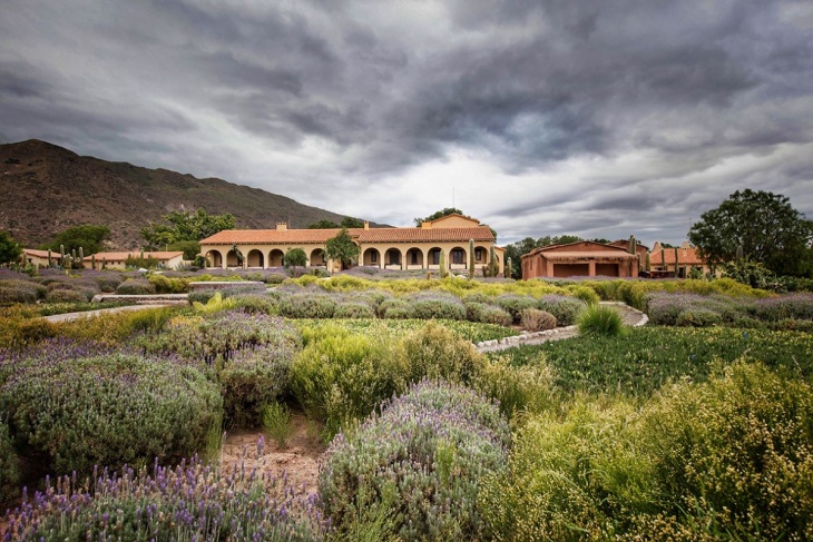 Estancia Colomé, orgullo del enoturismo salteño