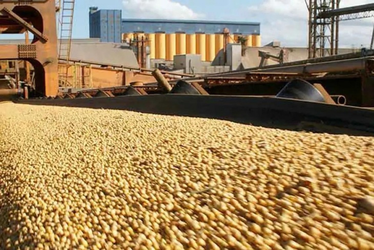 El agro y su aporte en el primer semestre