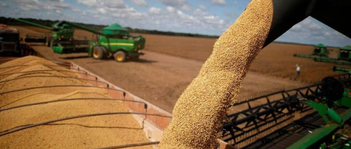 Retenciones cero: el agro argentino entre el rentismo, la presión fiscal y la pérdida de competitividad