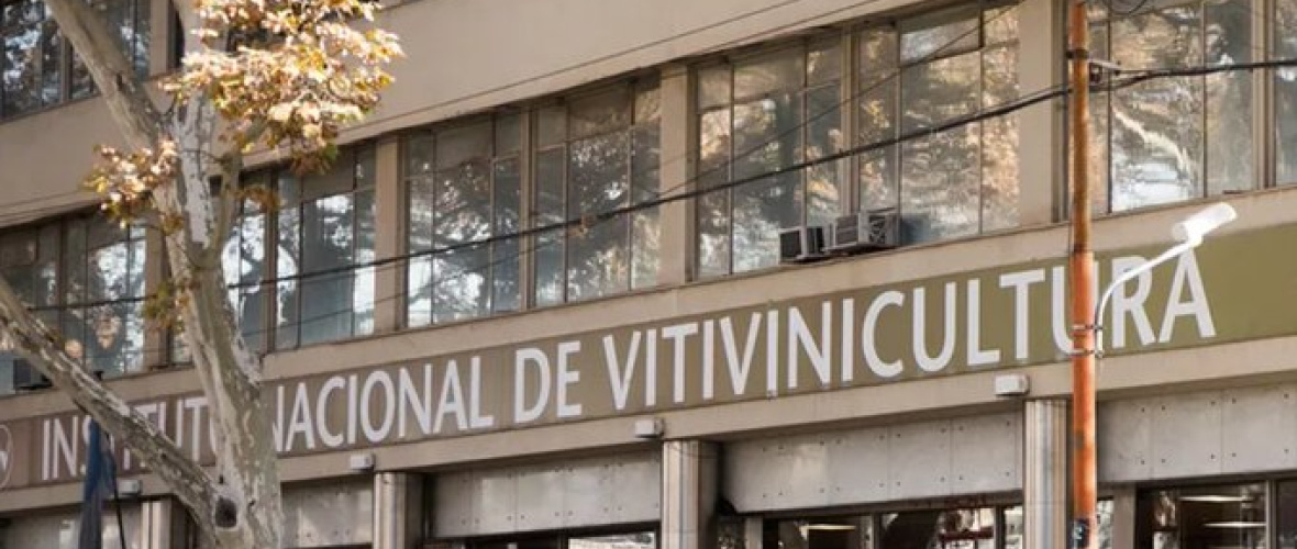 Productores van a la Justicia para frenar la reforma del INV antes de la cosecha 2026