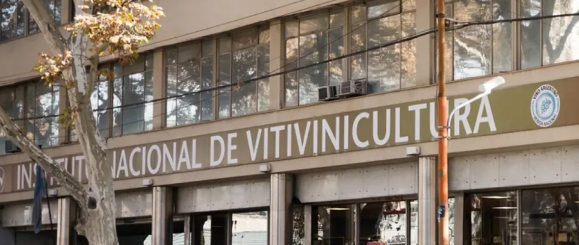 La Justicia frenó la desregulación del INV y restableció el CIU a días del inicio de la vendimia