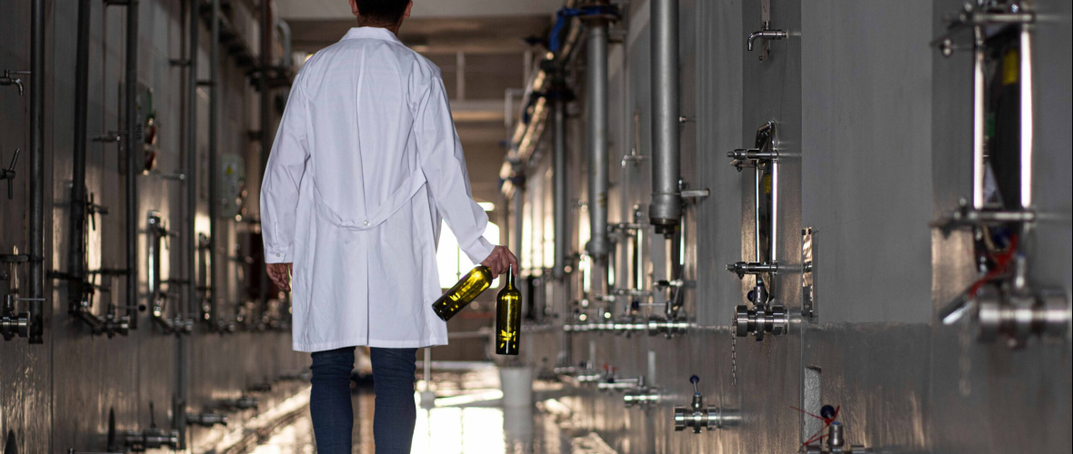 Día del Malbec: tras la caída de 2025, el varietal argentino a granel muestra señales de recuperación en 2026