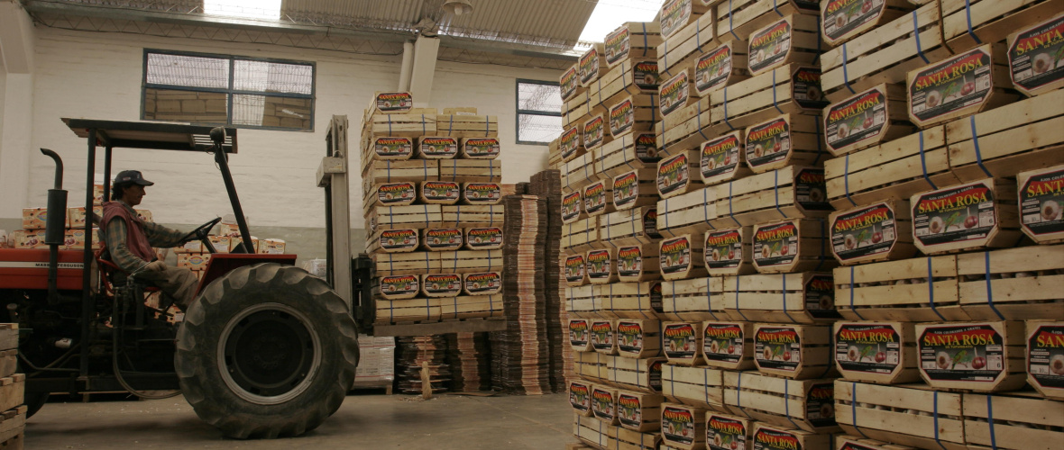 Exportaciones de Mendoza: la provincia sigue lejos de su potencial y busca recuperar competitividad