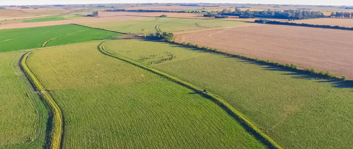 Compra de tierras: el 77% de los argentinos apoya mantener límites para los extranjeros