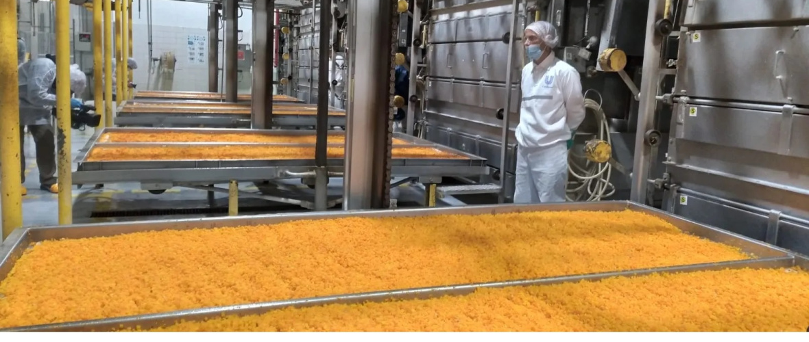 Unilever cerró su histórica planta de vegetales de Guaymallén