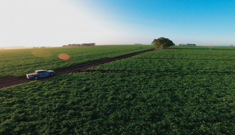 El campo retiene inversiones