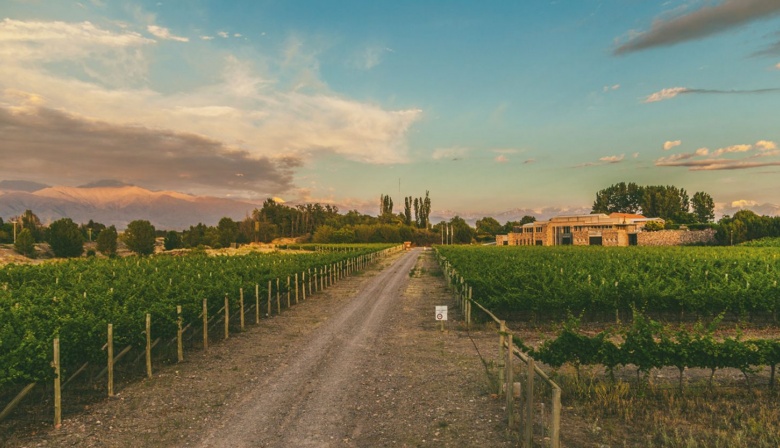 Bodegas Bianchi celebra el Día Mundial del Malbec con tres vinos destacados de San Rafael y Valle de Uco