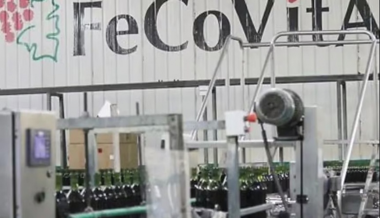 Fecovita - Iberte: Un nuevo capítulo por el balance 2024