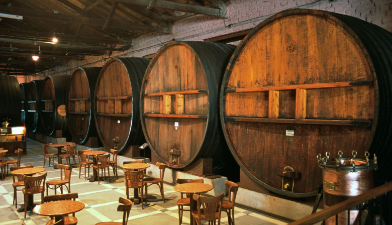 Bodegas abiertas en Mendoza: experiencias gratis para mendocinos durante junio