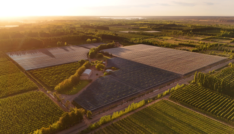 Mallas fotoselectivas de Agrinet: innovación sustentable que impulsa la productividad agrícola