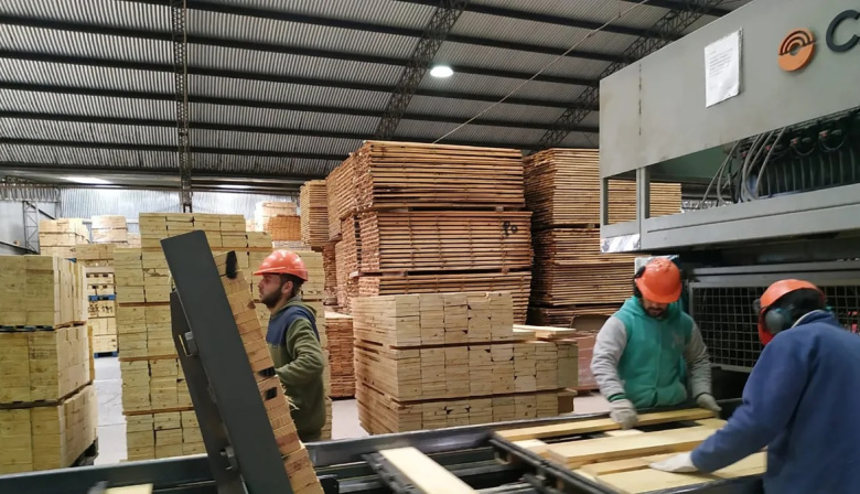 Industria argentina: la demanda interna desploma la actividad y crece el pesimismo empresarial