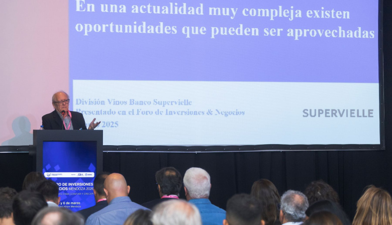 El vino en Mendoza busca adaptarse a nuevas tendencias y abre oportunidades de inversión