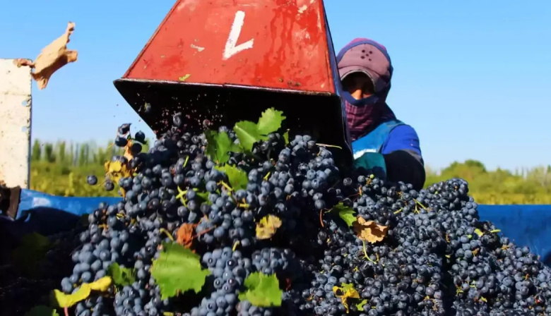 Salarios en bodegas y viñas: cómo quedó el acuerdo paritario 2026