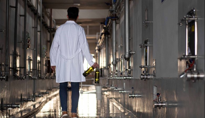 Día del Malbec: tras la caída de 2025, el varietal argentino a granel muestra señales de recuperación en 2026