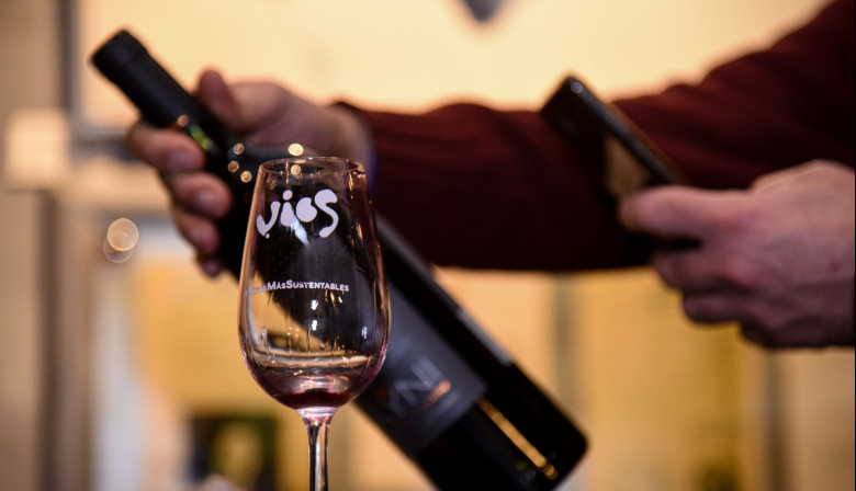 Más verde, más global: el Malbec argentino se sube a la revolución sustentable