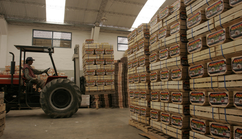 Exportaciones de Mendoza: la provincia sigue lejos de su potencial y busca recuperar competitividad