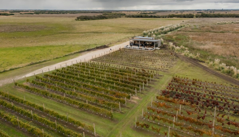 Bodega Gamboa inauguró Atlántica y fortalece su apuesta por el enoturismo en Buenos Aires