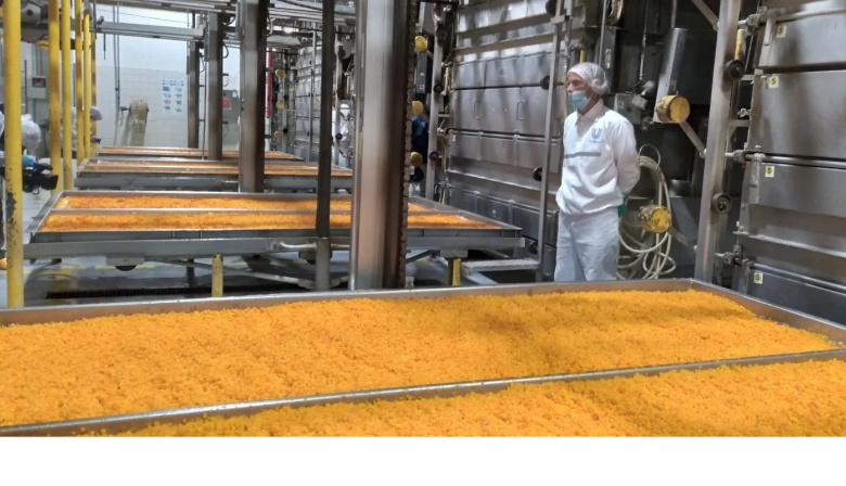 Unilever cerró su histórica planta de vegetales de Guaymallén