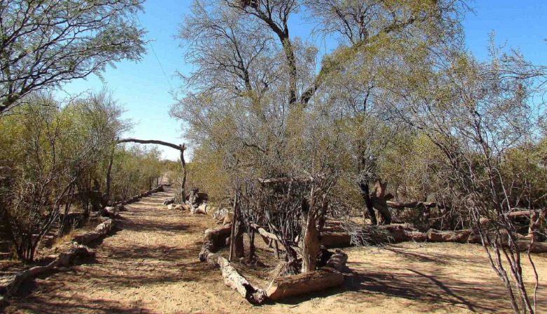 Sello Algarrobo: Mendoza incorpora la huella de carbono a su oferta turística